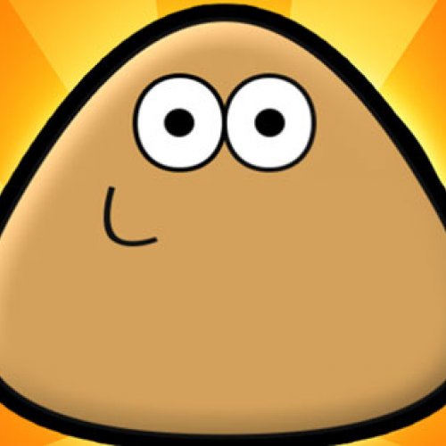 Pou