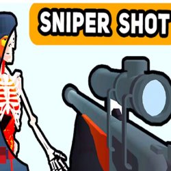 Sniper Shot Bullet Time